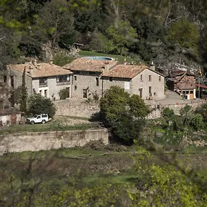 El Buxaus De La Muntanya Arbúcies